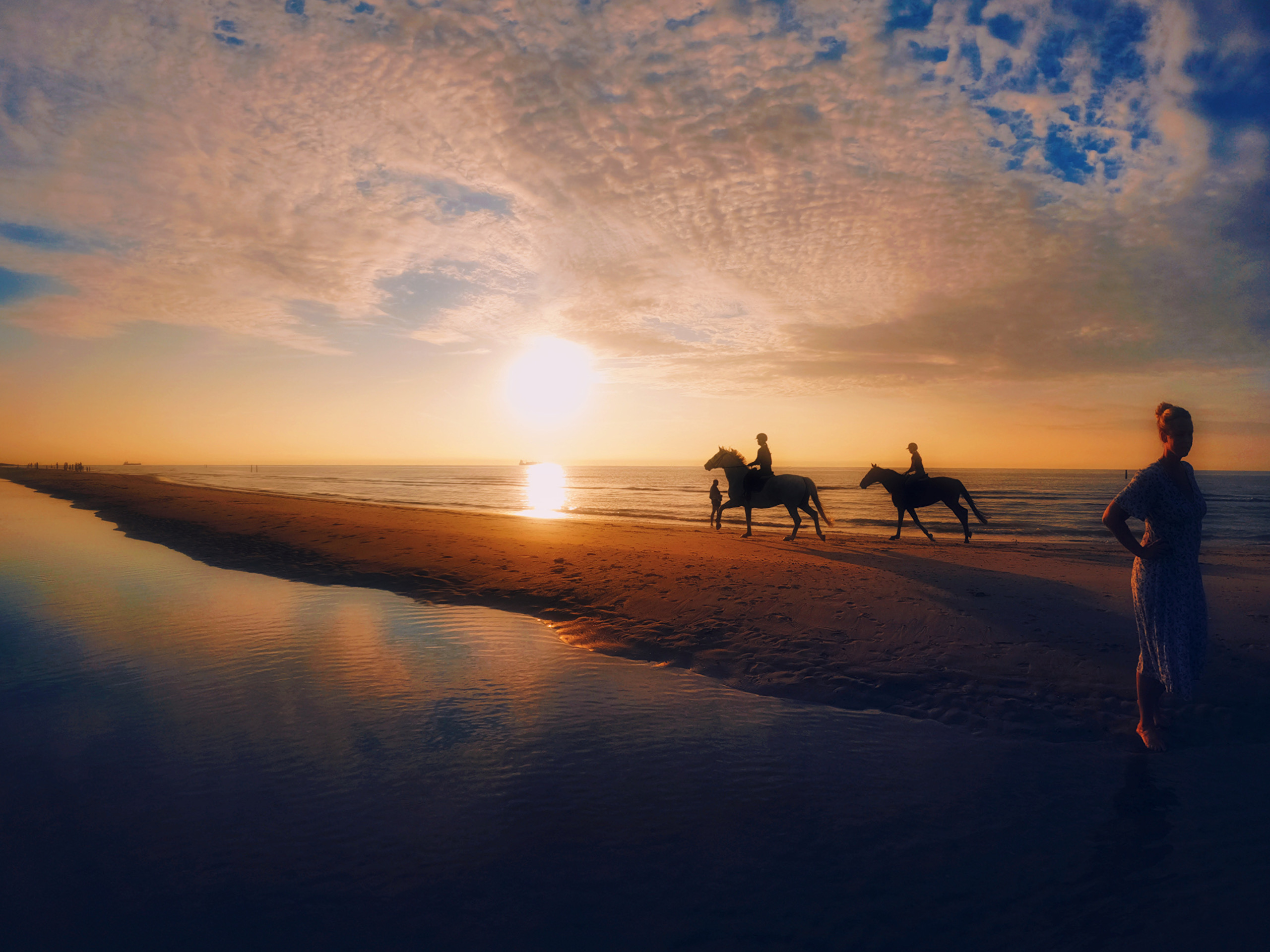 Windsupdude - paarden op het strand van Domburg